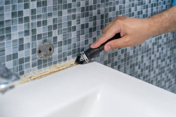 Best Local Mold Removal Service  in Louisiana, MO